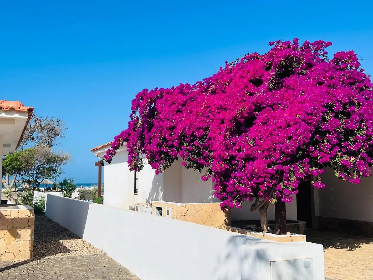 Villa With Privat Pool Near Beach Santa Maria Sal Kap Verde