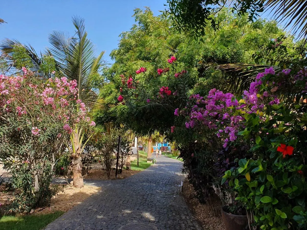 Villa With Privat Pool Near Beach Santa Maria Sal Kap Verde Cape Verde